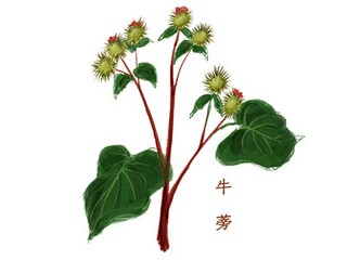 重阳节的古词_重阳节古词